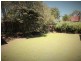 6 Bingo St, Holmview QLD 4207