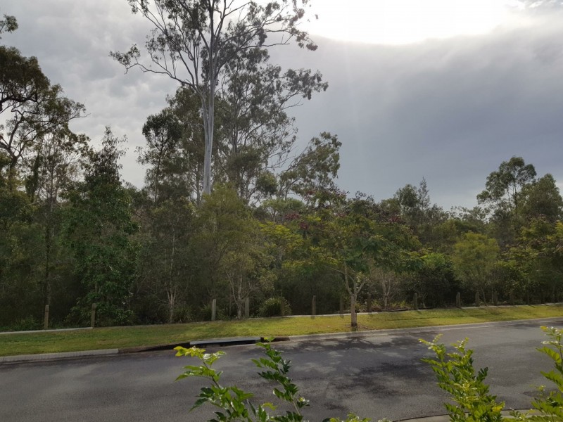 48 Wyndham Circuit, Holmview QLD 4207