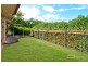 5 Carmen Court, Bahrs Scrub QLD 4207