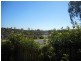 99 Castile Crescent, Edens Landing QLD 4207