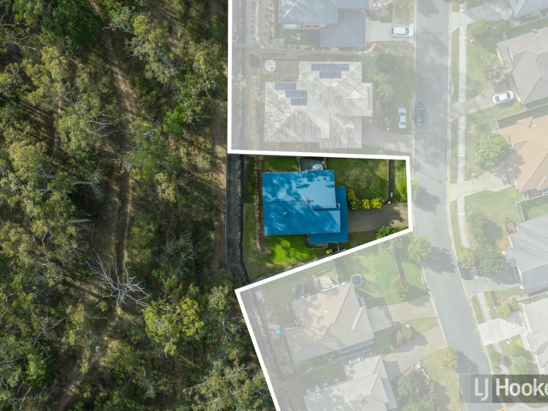 53 Sunridge Circuit, Bahrs Scrub QLD 4207