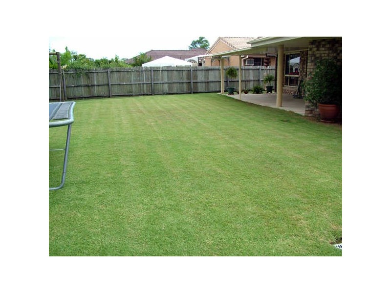 6 Katunga Cct, Ormeau QLD 4208