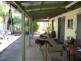 10 Daintree Dr, Logan Village QLD 4207