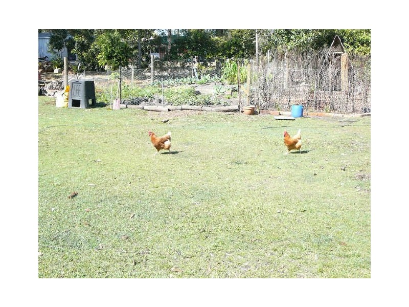 10 Daintree Dr, Logan Village QLD 4207
