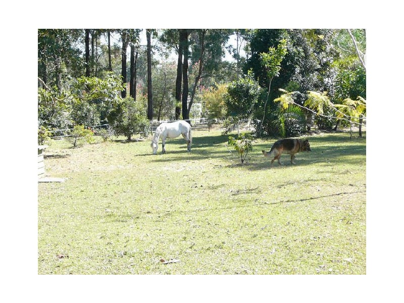 10 Daintree Dr, Logan Village QLD 4207