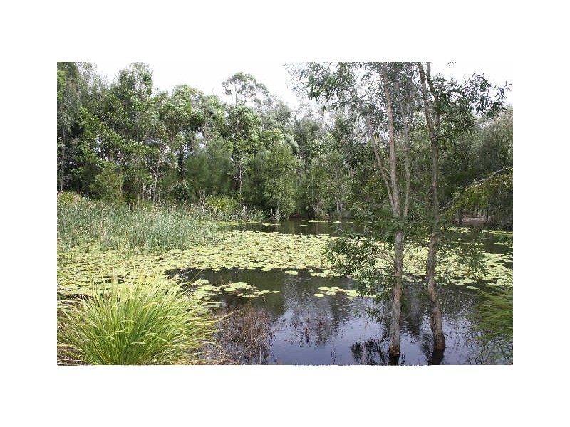 32 Osprey Dr, Jacobs Well QLD 4208