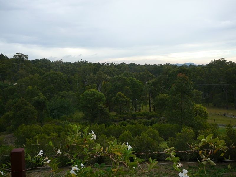 25 Lucas Cr, Ormeau Hills QLD 4208