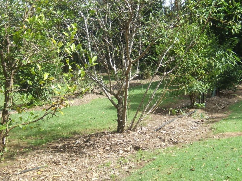 5 Logan Pde, Logan Reserve QLD 4133