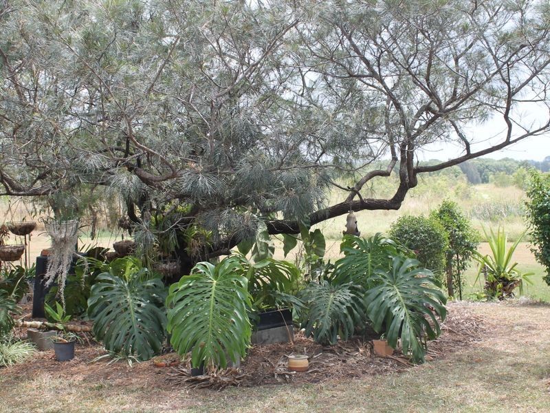 68 Sharon Drive, Eagleby QLD 4207