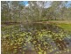 202 – 210 Greensward Road, Tamborine QLD 4270
