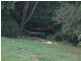 415 Cedar Creek Rd, Alberton QLD 4207