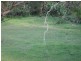 415 Cedar Creek Rd, Alberton QLD 4207