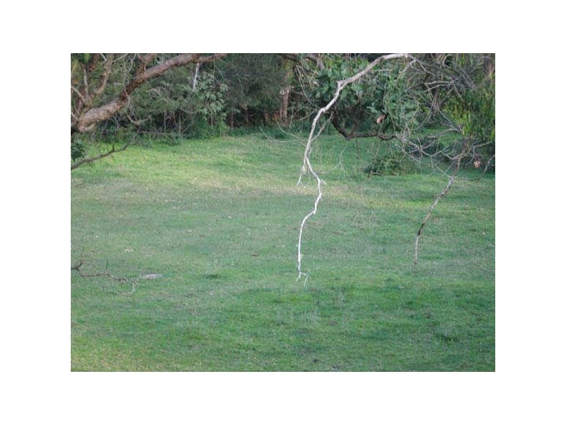 415 Cedar Creek Rd, Alberton QLD 4207