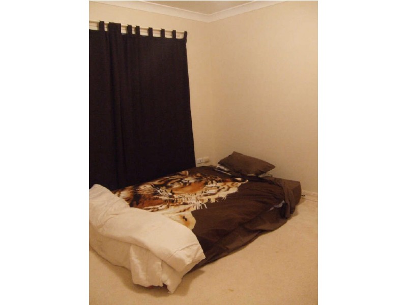 13 Hendrix St, Windaroo QLD 4207