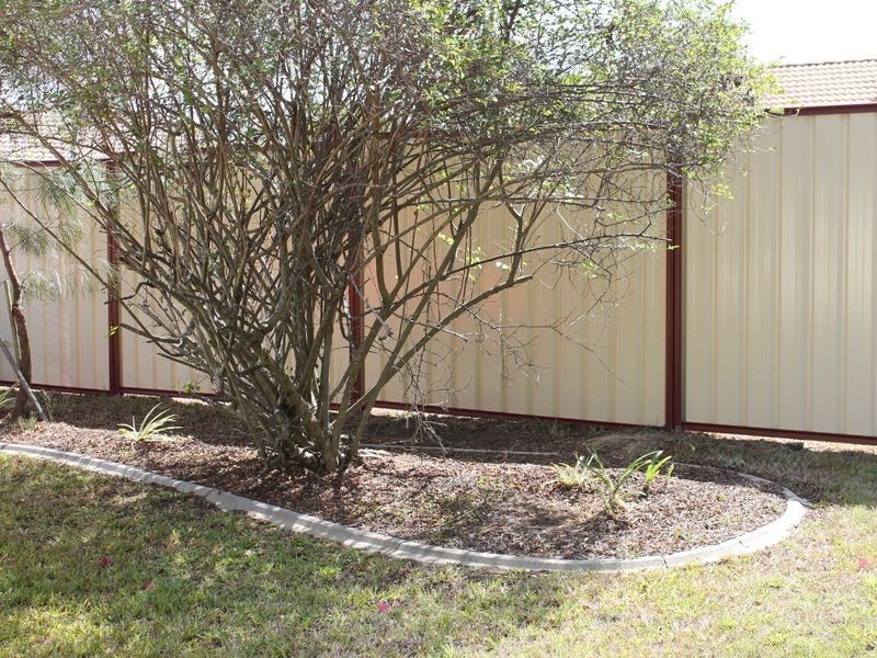 3 Pearce Court, Eagleby QLD 4207