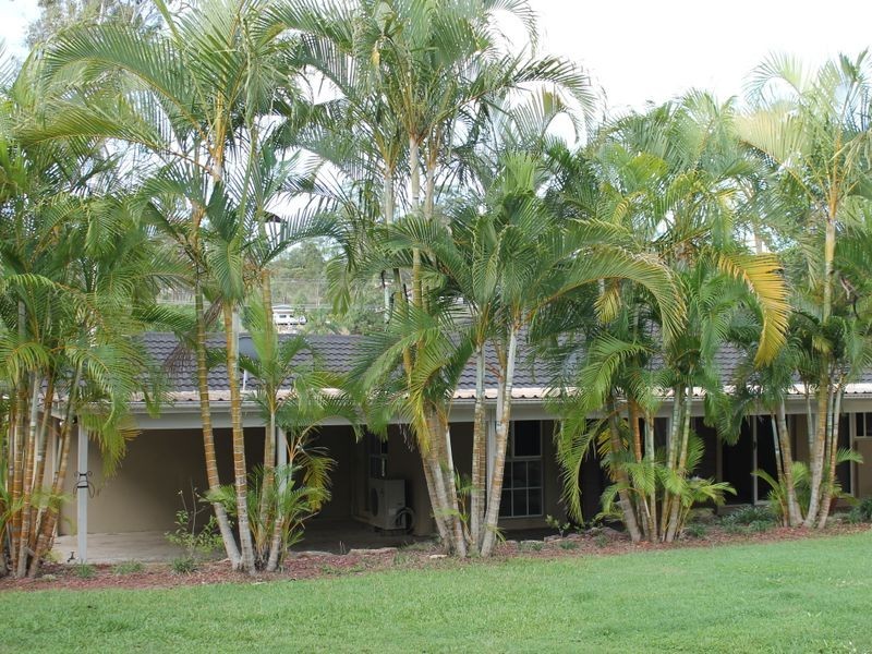 6 Castile Cresent, Edens Landing QLD 4207