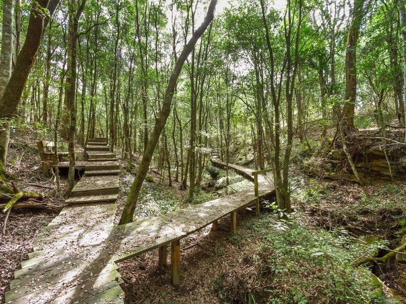 61 Patterson Lane, Grose Vale NSW 2753