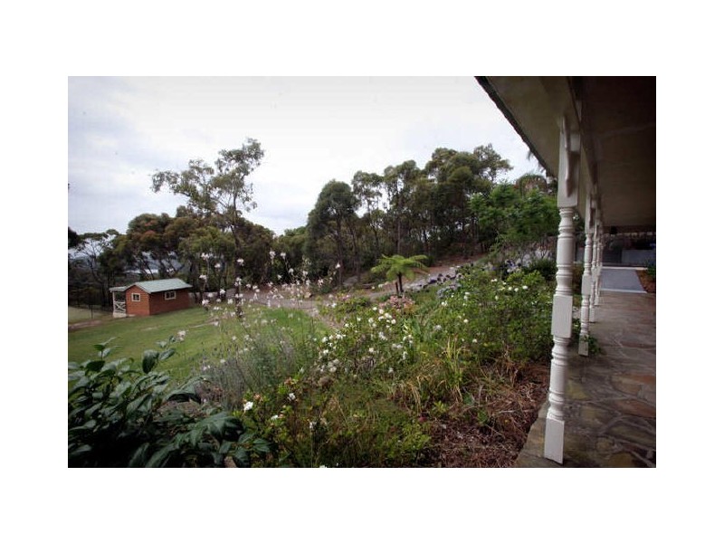 7 Dendrobium Crescent, Elanora Heights NSW 2101