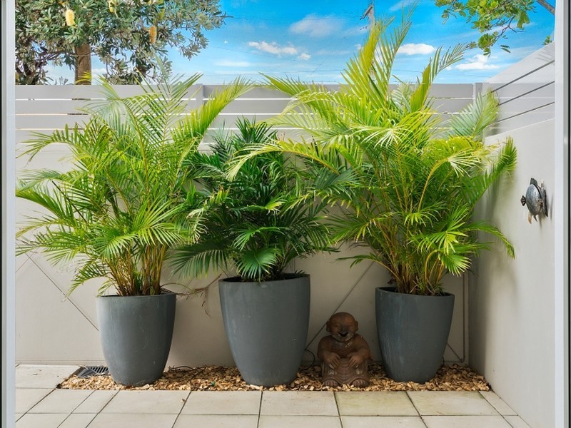 4/134 Ocean Street, Narrabeen NSW 2101