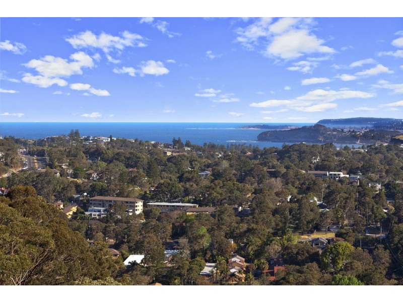 17 Cheryl Crescent, Newport NSW 2106