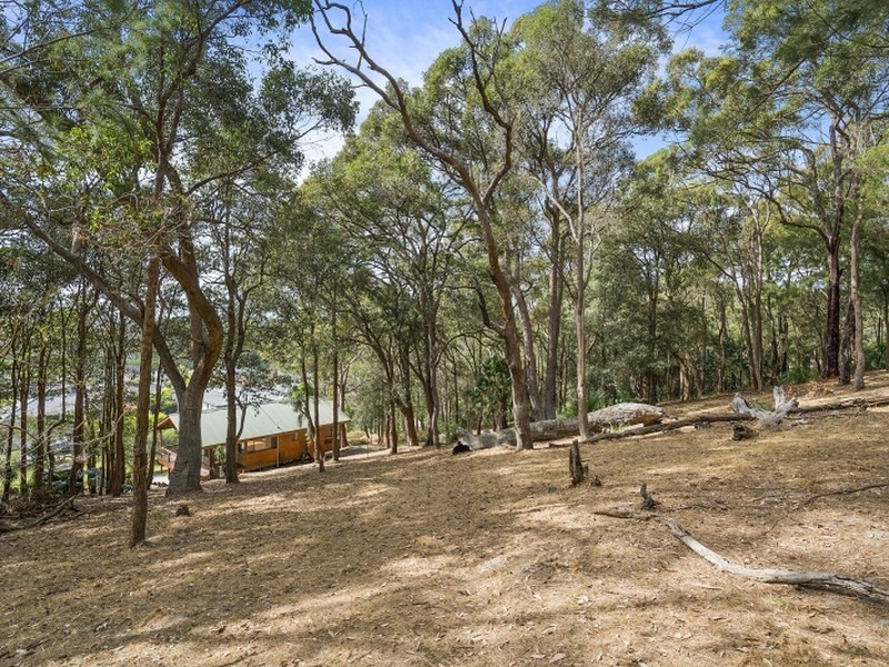 113 Orchard Street, Warriewood NSW 2102