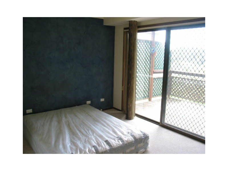 101 Rickard Road, North Narrabeen NSW 2101