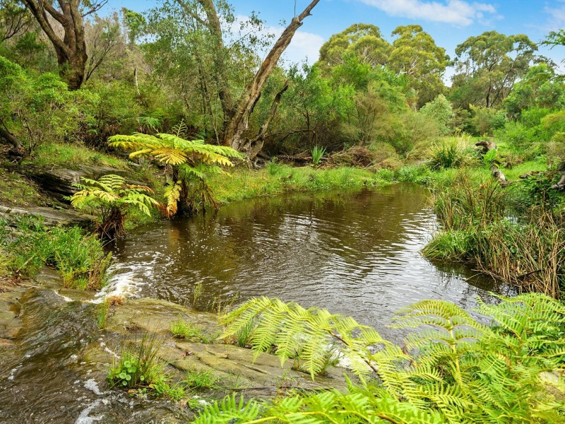 51 Wesley Street, Elanora Heights NSW 2101