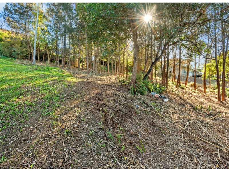 46 Park Street, Narrabeen NSW 2101