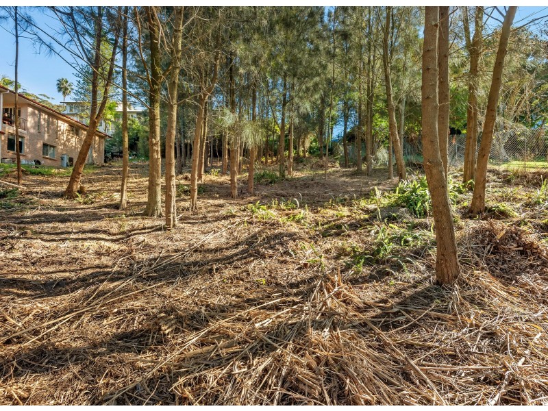 46 Park Street, Narrabeen NSW 2101