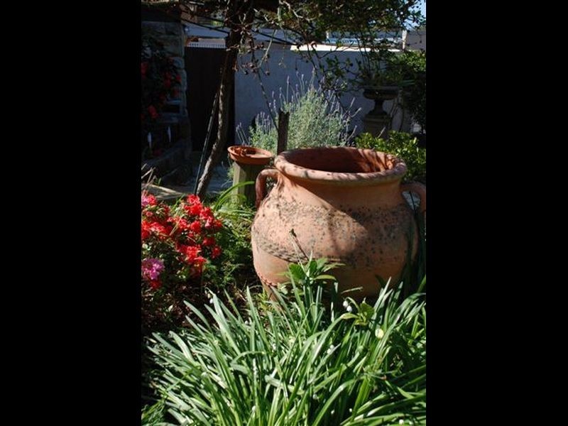 19B Bruce Street, Warriewood NSW 2102