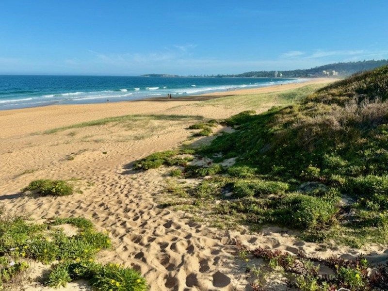 3/169 Ocean Street, Narrabeen NSW 2101