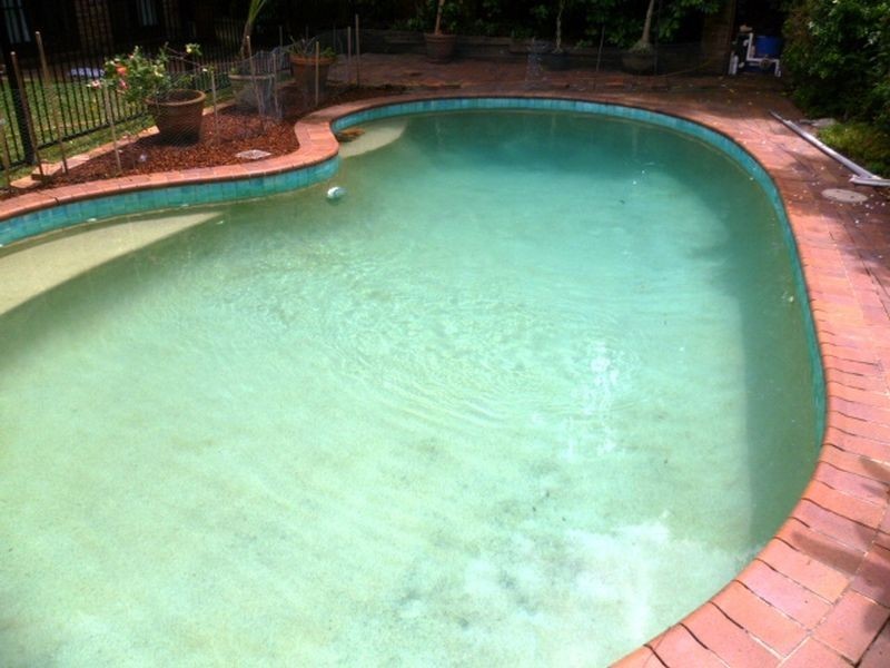 163 Rosedale Road, St Ives NSW 2075