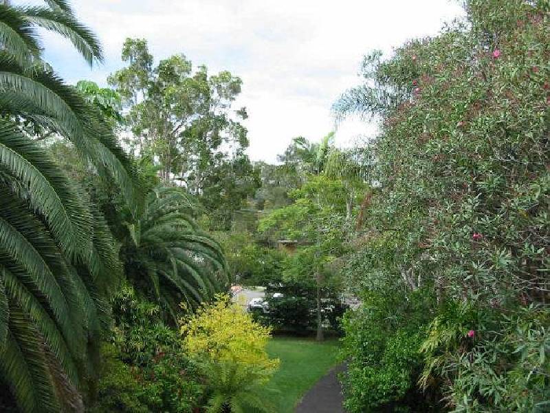 28 Wetherill Street, Narrabeen NSW 2101