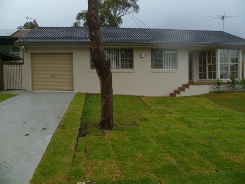 29 Rose Avenue, Collaroy Plateau NSW 2097