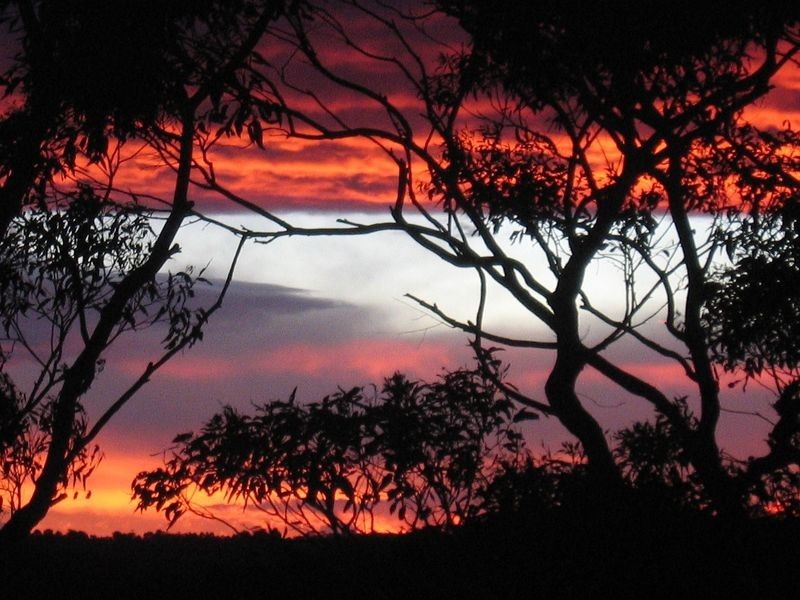 1/8 Carefree Road, North Narrabeen NSW 2101