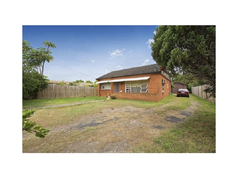 1559 Pittwater Road, North Narrabeen NSW 2101