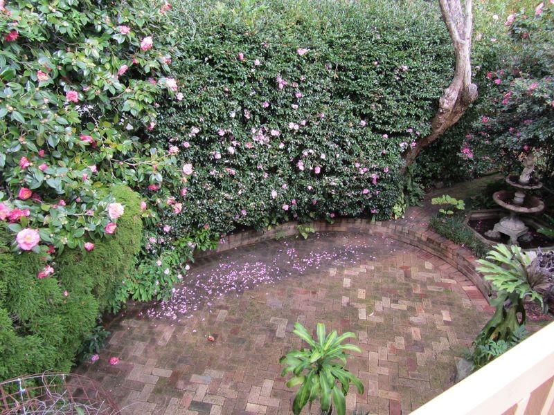 114 Nareen Parade, North Narrabeen NSW 2101