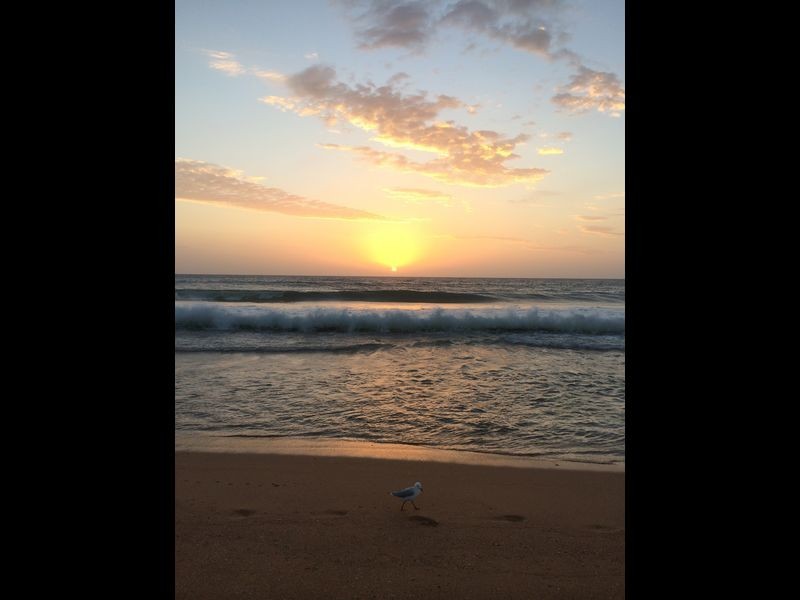 12/1 Mactier Street, Narrabeen NSW 2101