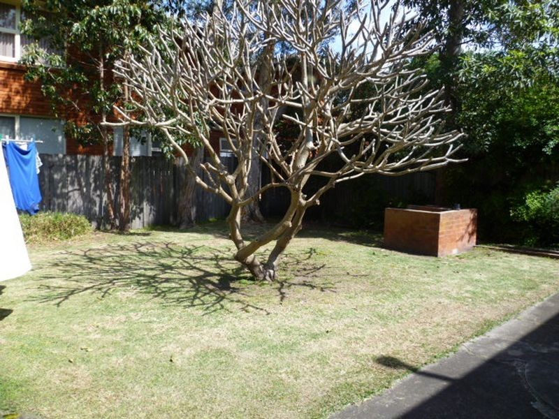 Lower/15 Tulich Avenue, Dee Why NSW 2099