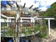 24 The Esplanade, Narrabeen NSW 2101