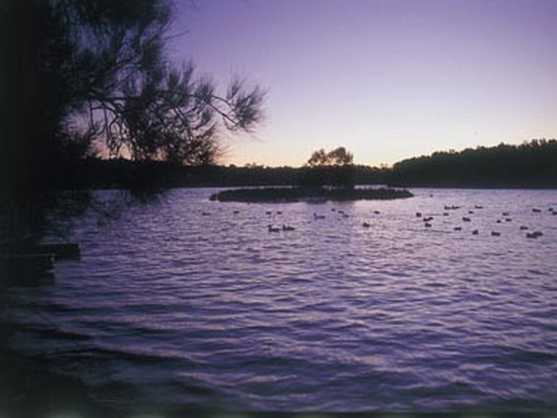 4/9-11 Gondola Road, North Narrabeen NSW 2101