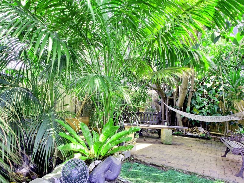 1219 Pittwater Road, Collaroy NSW 2097