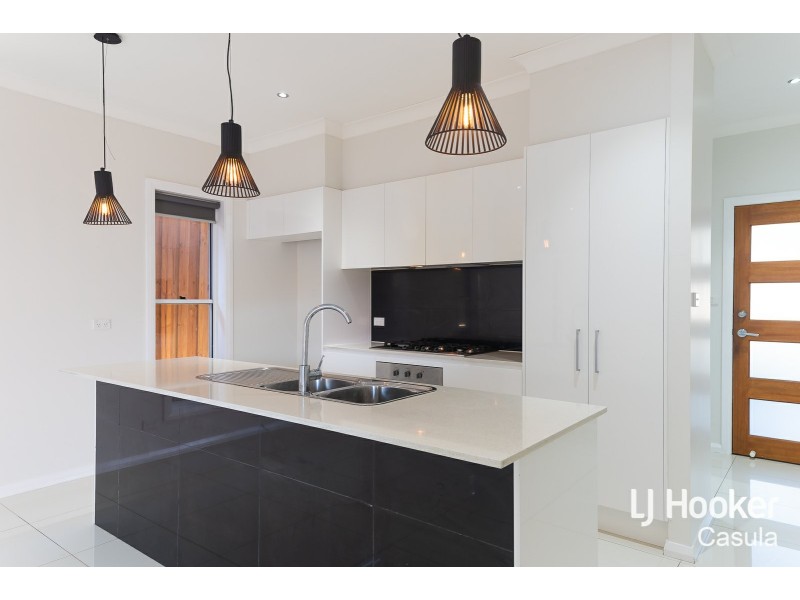 29 Woodroffe Street, Minto NSW 2566