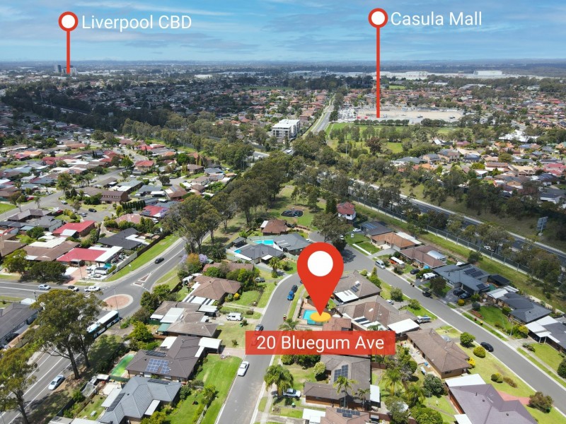 20 Bluegum Avenue, Prestons NSW 2170