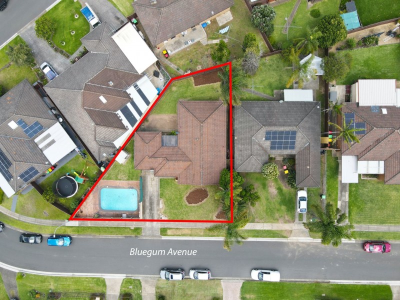 20 Bluegum Avenue, Prestons NSW 2170