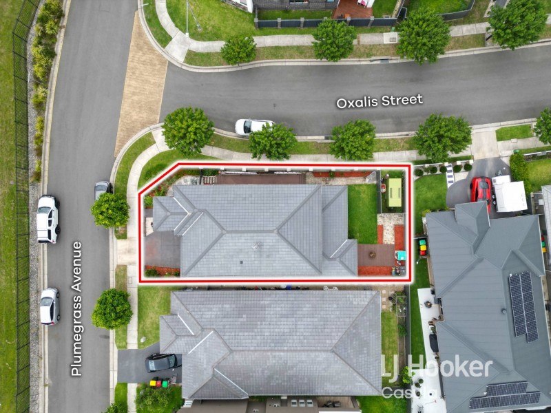 72 Plumegrass Avenue, Denham Court NSW 2565