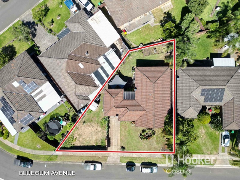20 Bluegum Avenue, Prestons NSW 2170