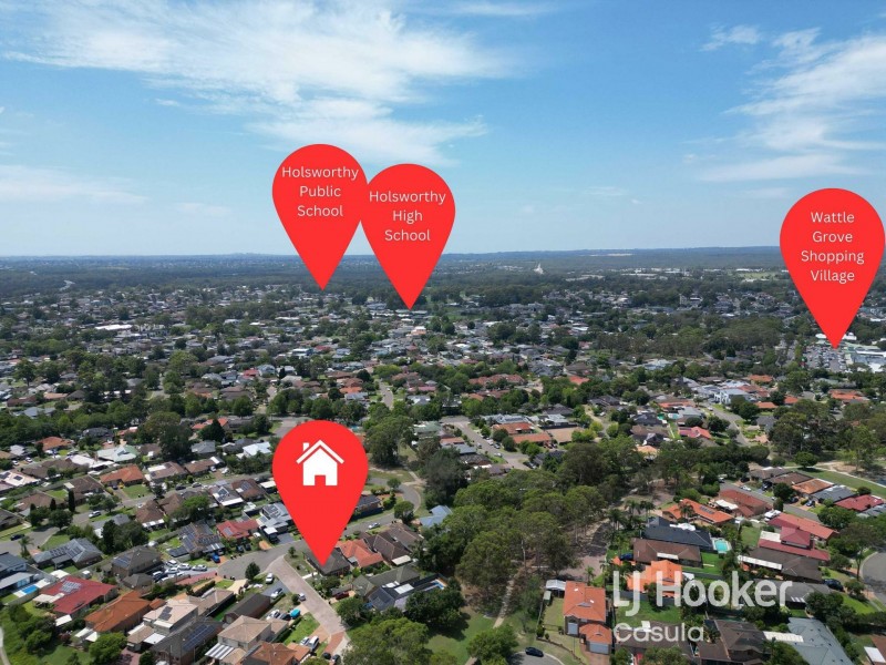 16 Fernleaf Court, Wattle Grove NSW 2173