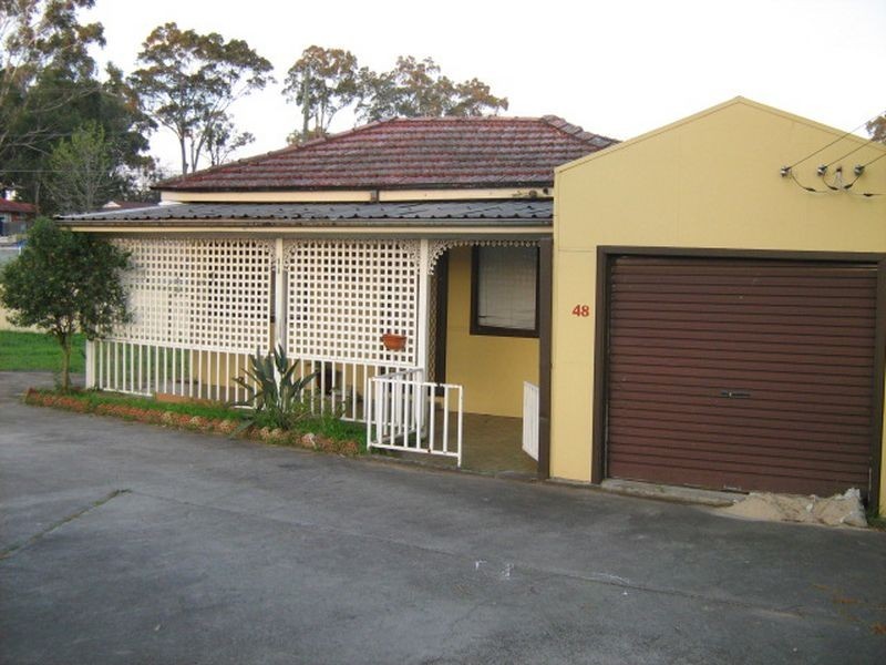 48 Anderson Ave, Mount Pritchard NSW 2170