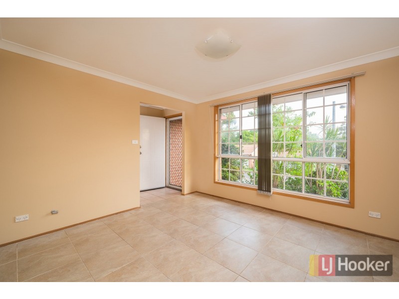 20 Glenella Way, Minto NSW 2566